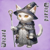 Wizard
